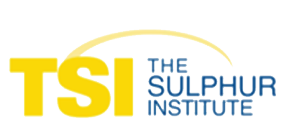 TSI Logo